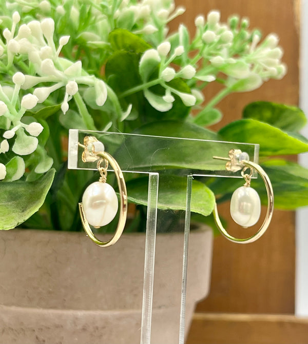 Gold Circle & Pearl Earrings
