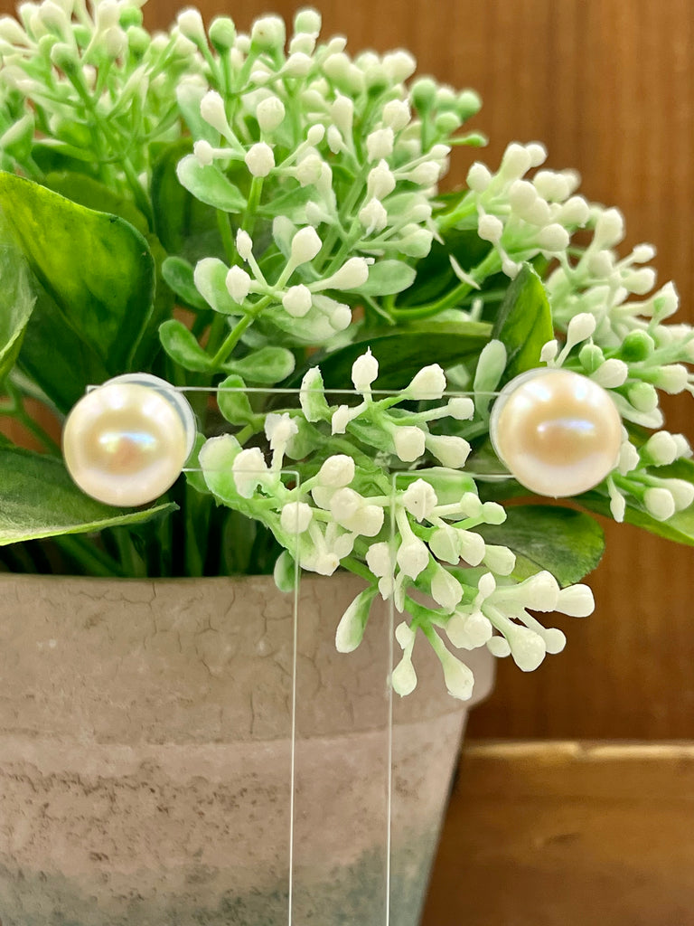 Round Freshwater Pearl Stud 10-11mm