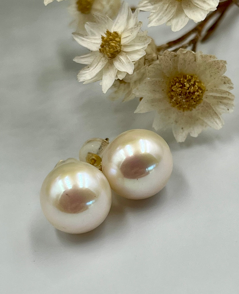 Gold Stud Freshwater Pearl Studs
